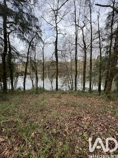 Terrain loisirs à Chaillac-sur-Vienne (87200)