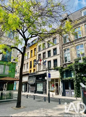 Building in Lille (59800)