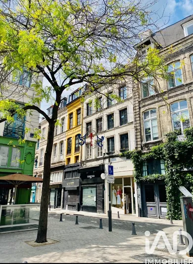 Building in Lille (59800)