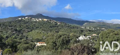 House in Borgo (20290)