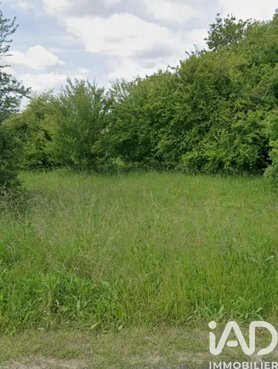 Terrain à Briou (41370)