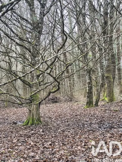 Terrain à Val d'Issoire (87330)