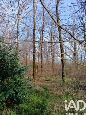 Terrain à Sainte-Gemme (36500)