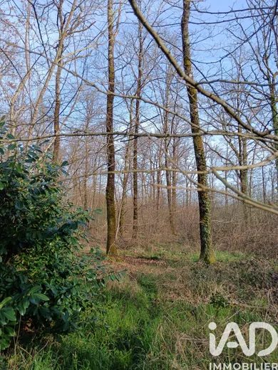 Terrain à Sainte-Gemme (36500)