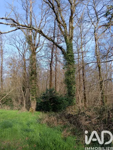 Land in Sainte-Gemme (36500)