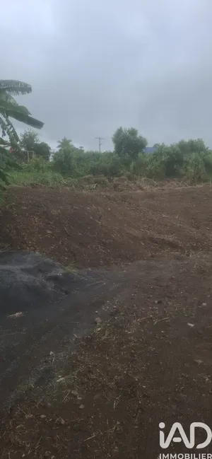 Terrain à bâtir à Saint-Denis (97490)