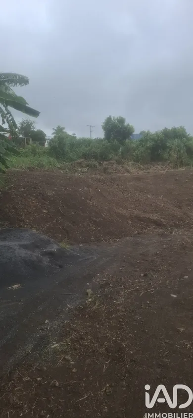 Terrain à bâtir à Saint-Denis (97490)