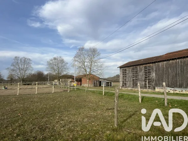 Vente maison à Lamagistère (82360) : maison de ville 5 pièces 187 m² — 8
