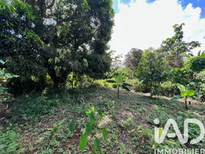 Land in Capesterre-Belle-Eau (97130)