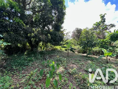 Land in Capesterre-Belle-Eau (97130)