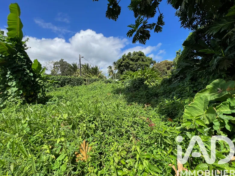 Terrain à Capesterre-Belle-Eau (97130) · 124 000 €