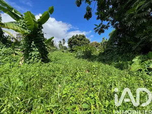 Land in Capesterre-Belle-Eau (97130)