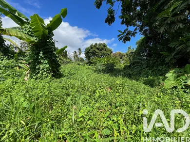 Land in Capesterre-Belle-Eau (97130)