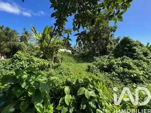 Terrain à Capesterre-Belle-Eau (97130)