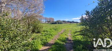 Terrain agricole à villelongue de la salanque (66410)