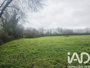 Leisure land in sèvremoine (49230)