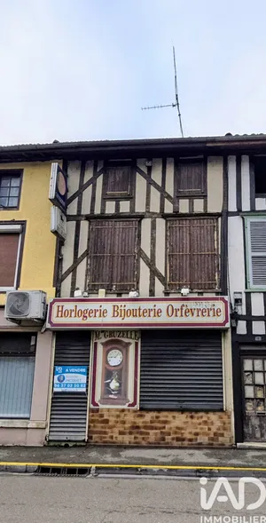 House in La Porte du Der (52220)