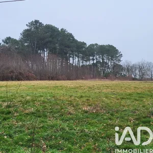 Land in BAZAS (33430)