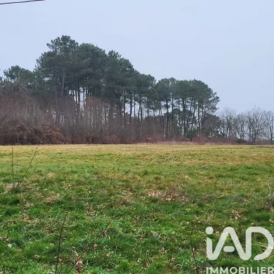Terrain à BAZAS (33430)