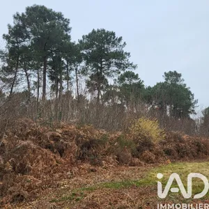 Terrain à BAZAS (33430)