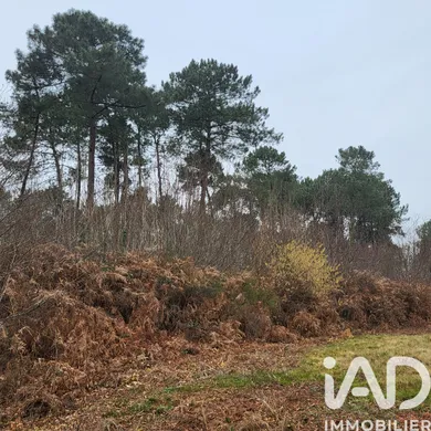 Terrain à BAZAS (33430)