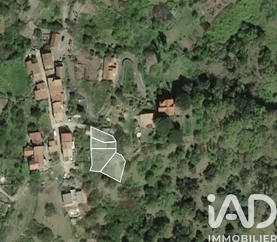 Terrain à bâtir à SANTO PIETRO DI TENDA (20246)