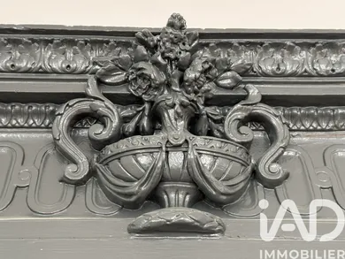 Duplex in Albi (81000)