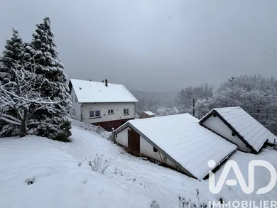 Traditional house in Phalsbourg (57370)