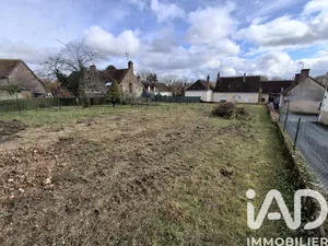 Terrain à Monthodon (37110)