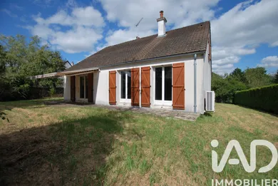 House in Ouzouer-sur-Trézée (45250)