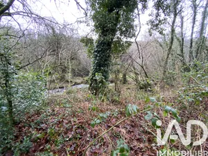 Land in Lannéanou (29640)