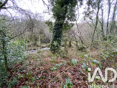 Land in Lannéanou (29640)