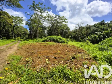 Terrain à bâtir à Ducos (97224)