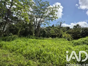 Building plot in Ducos (97224)