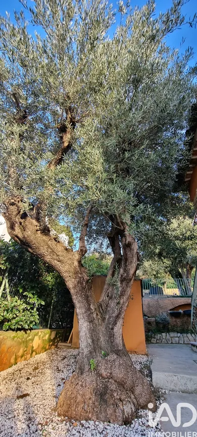 Traditional house in Toulon (83200)