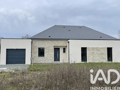 Traditional house in Neuillé-Pont-Pierre (37360)