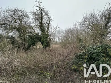 Building plot in Masny (59176)