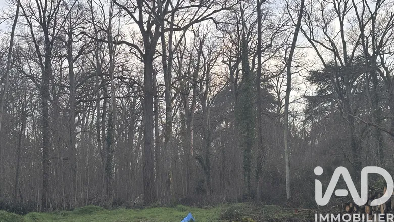 Terrain à Saint-Hilaire-de-Court (18100) · 19 000 €
