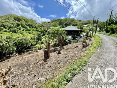 Terrain à La Trinité (97220)