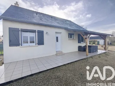 Traditional house in Chinon (37500)