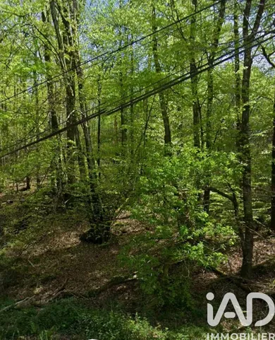 Terrain loisirs à Compreignac (87140)