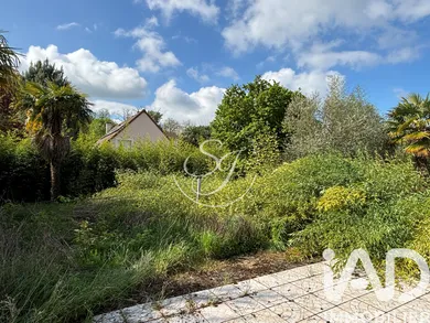 House in Saintry-sur-Seine (91250)