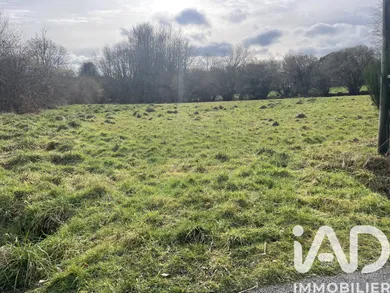 Land in Le Vieux-Marché (22420)