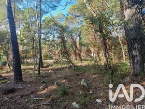 Building plot in Flayosc (83780)