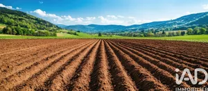 Terrain agricole  à Treize-Septiers (85600)