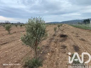 Terrain agricole  à Villedaigne (11200)