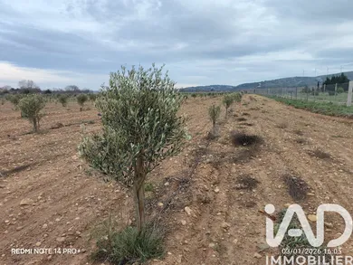 Terrain agricole  à Villedaigne (11200)