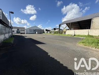 Immeuble à Bellevigne-les-Châteaux (49400)