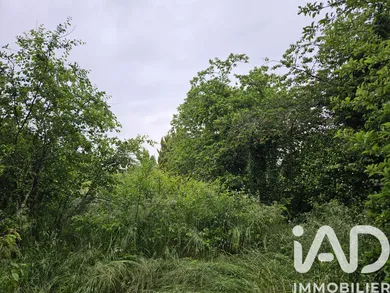 Building plot in Longchamp (21110)