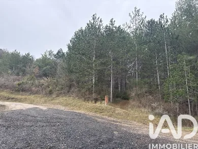 Land in Roquetaillade (11300)